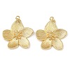 Brass Pendants KK-L255-04G-1