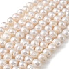Natural Cultured Freshwater Pearl Beads Strands PEAR-L034-18D-2