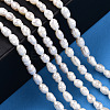 Natural Cultured Freshwater Pearl Beads Strands X1-PEAR-N012-03H-6