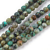 Natural African Turquoise(Jasper) Beads Strands TURQ-G037-4mm-1