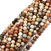 Natural Fossil Coral Beads Strands G-E576-03A-1