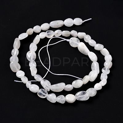 Natural Rainbow Moonstone Beads Strands G-G018-48-1