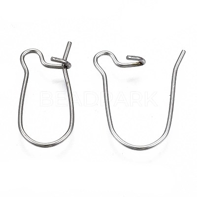 Tarnish Resistant 304 Stainless Steel Hoop Earring Findings STAS-S117-008A-01-1