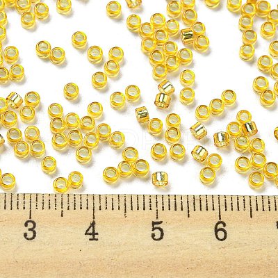 Glass Seed Beads SEED-S042-04A-12-1