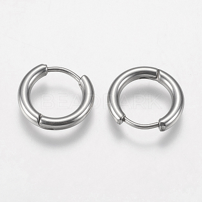 Tarnish Resistant 304 Stainless Steel Huggie Hoop Earring Findings STAS-I097-051C-1