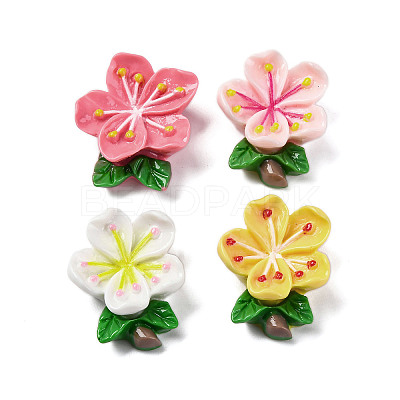 Opaque Resin Cabochons RESI-R455-01K-1