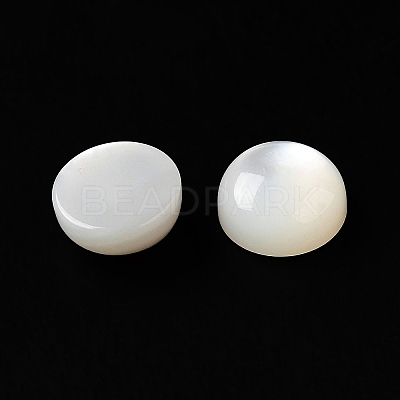 Natural White Shell Cabochons SSHEL-M022-01B-1