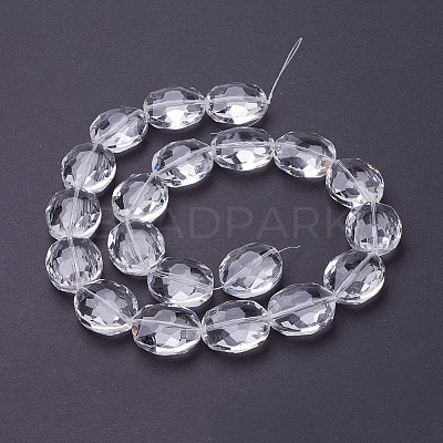 Glass Bead Strands X-GLAA-R196-24x20mm-01-1