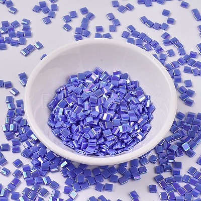 MIYUKI TILA Beads LS-X-SEED-J020-TL0483-1