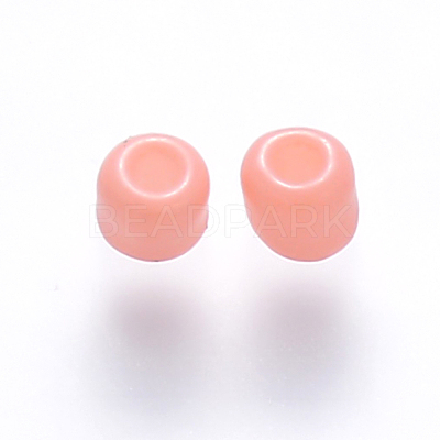 6/0 Baking Paint Glass Round Seed Beads SEED-S036-01C-17-1