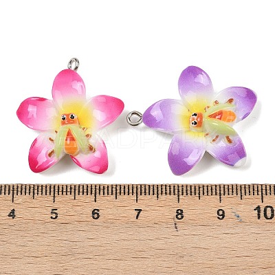 Resin Pendants RESI-I347-04P-01-1