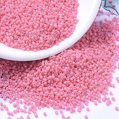 MIYUKI Delica Beads SEED-J020-DB2117-1
