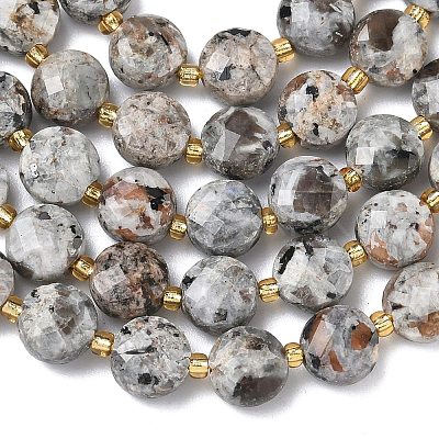 Natural Syenite Beads Strands G-K389-B86-01-1