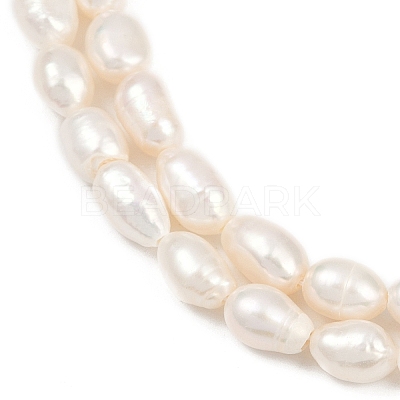 Natural Cultured Freshwater Pearl Beads Strands PEAR-P064-20H-03A-1