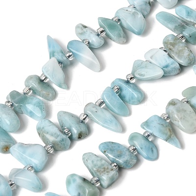 Natural Larimar Beads Strands G-P604-A28-01-1
