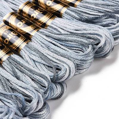 10 Skeins 6-Ply Polyester Embroidery Floss OCOR-K006-A62-1