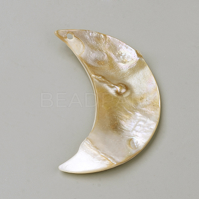 Freshwater Shell Pendants BSHE-S620-04-1