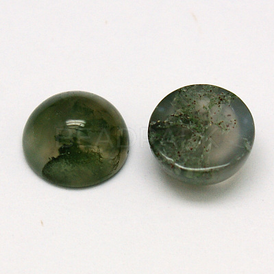 Natural Moss Agate Cabochons X-G-P393-R28-12mm-1