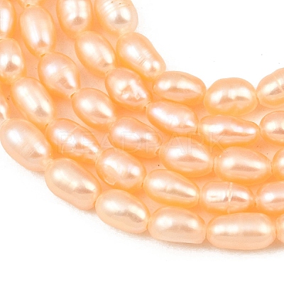 Natural Cultured Freshwater Pearl Beads Strands PEAR-F020-26B-1