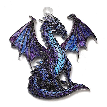 Transparent Printed Acrylic Pendants OACR-E043-03B-1