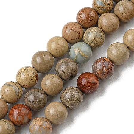 Natural Aqua Terra Jasper Strands G-S150-50-8mm-1