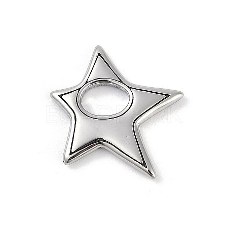 316 Surgical Stainless Steel Pendants STAS-G349-17P-1