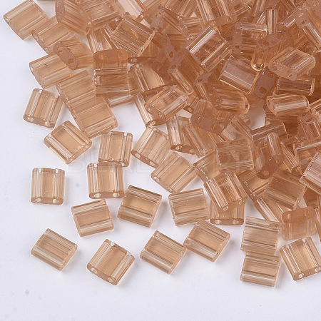 2-Hole Glass Seed Beads SEED-T003-01C-05-1
