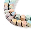 Natural Rainbow Alashan Agate Beads Strands G-NH0022-L01-01-4