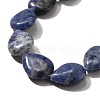 Natural Blue Spot Jasper Beads Strands G-P561-B06-01-4