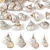 Electroplated Spiral Shell Pendants BSHE-YW0001-07G-2