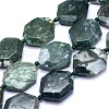Natural Moss Agate Beads Strands G-O170-73-1
