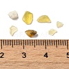 Natural Yellow Opal Beads G-O103-28-3