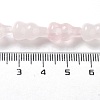 Natural Rose Quartz Beads Strands G-P528-G02-01-5