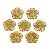 Natural Freshwater Shell Beads SHEL-N026-10-2