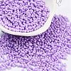 Baking Paint Glass Seed Beads SEED-A033-05J-1