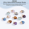  12Pcs 6 Styles Natural Gemstone Charms G-NB0003-74-4