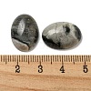 Natural Picasso Jasper Cabochons G-C115-01A-37-3