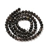 Natural Silver Sheen Obsidian Beads Strands G-E608-A02-C-2