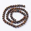 Natural Tiger Eye Beads Strands GSR6MMC014-B-3