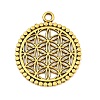 Tibetan Style Alloy Pendants AL-CBA1187-16AG-1