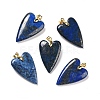 Natural Lapis Lazuli Pendants X-G-E570-01G-09-1