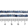 Natural Kyanite Beads Strands G-B088-E24-03A-3