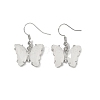 Natural Mixed Stone Brass Dangle Earrings EJEW-M081-01P-2