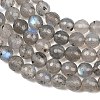 Natural Labradorite Beads Strands G-O176-04B-6