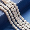 Natural Cultured Freshwater Pearl Strands A23WM011-01-2