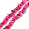 Natural Freshwater Shell Beads Strands BSHE-I016-01G-1