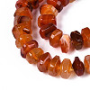 Natural Agate Beads Strands G-N356-01A-10-4