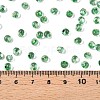 6/0 Baking Paint Transparent Fringe Glass Seed Beads SEED-N006-06K-4