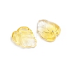 Two-Tone Transparent Glass Charms GLAA-H016-15J-2