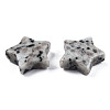 Natural Sesame Jasper Agate Star Shaped Worry Stones G-T132-002A-14-3